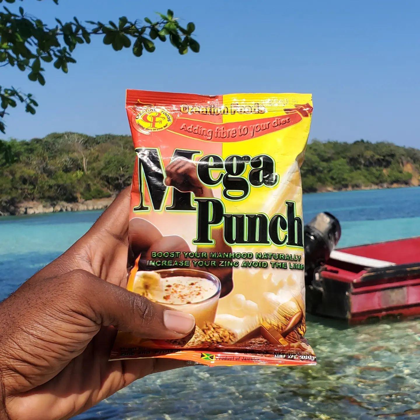 Creation Foods MEGA Punch